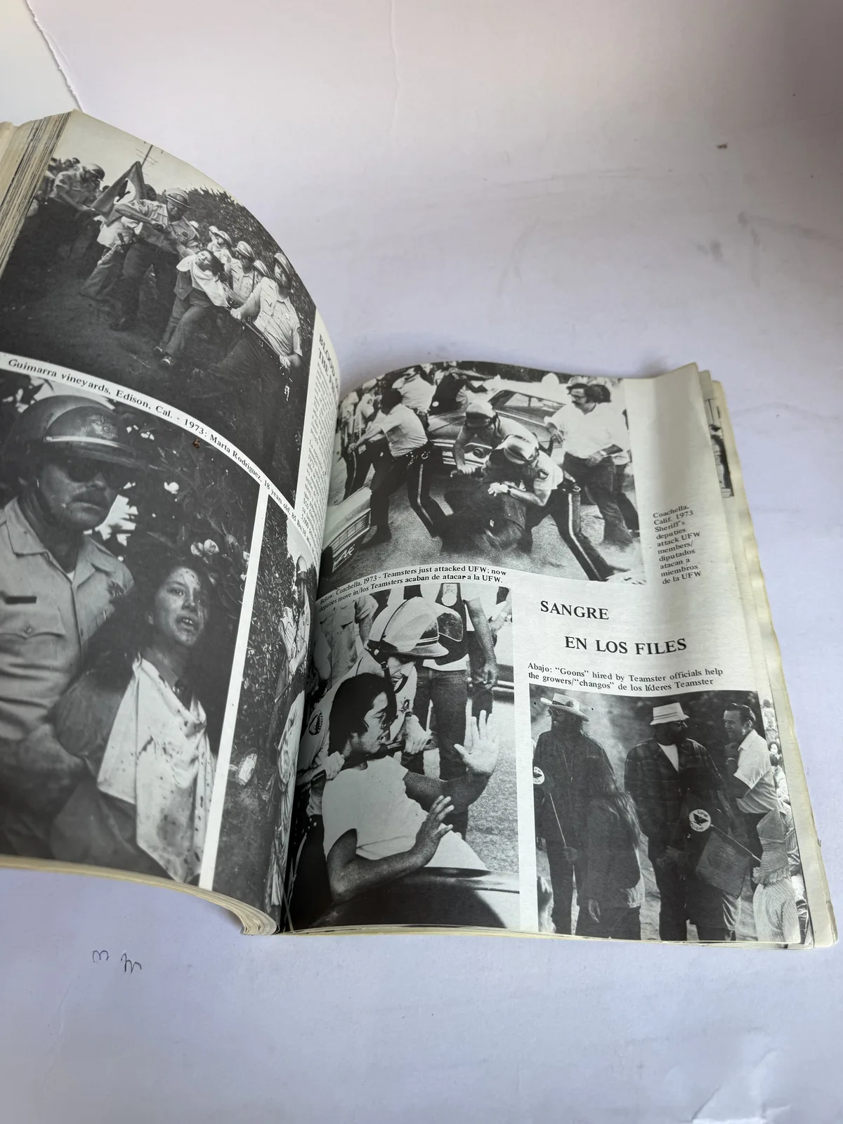 Interior spread of 450 Anos del Pueblo Chicano showing documentary photographs of marches, protest signs and community gatherings, photographed at New Mexico Literacy Project