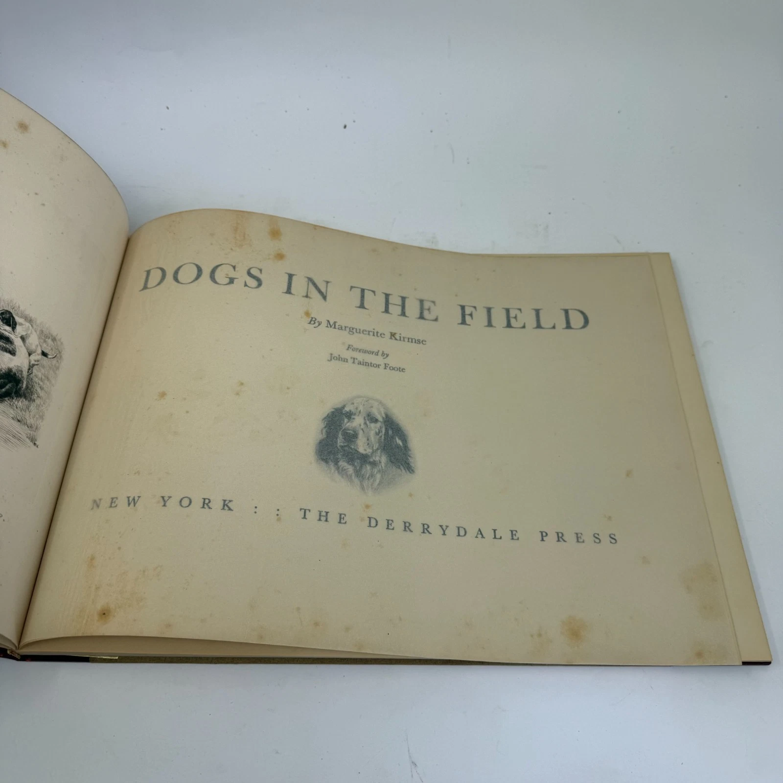 Interior etched plate of a dog by Marguerite Kirmse