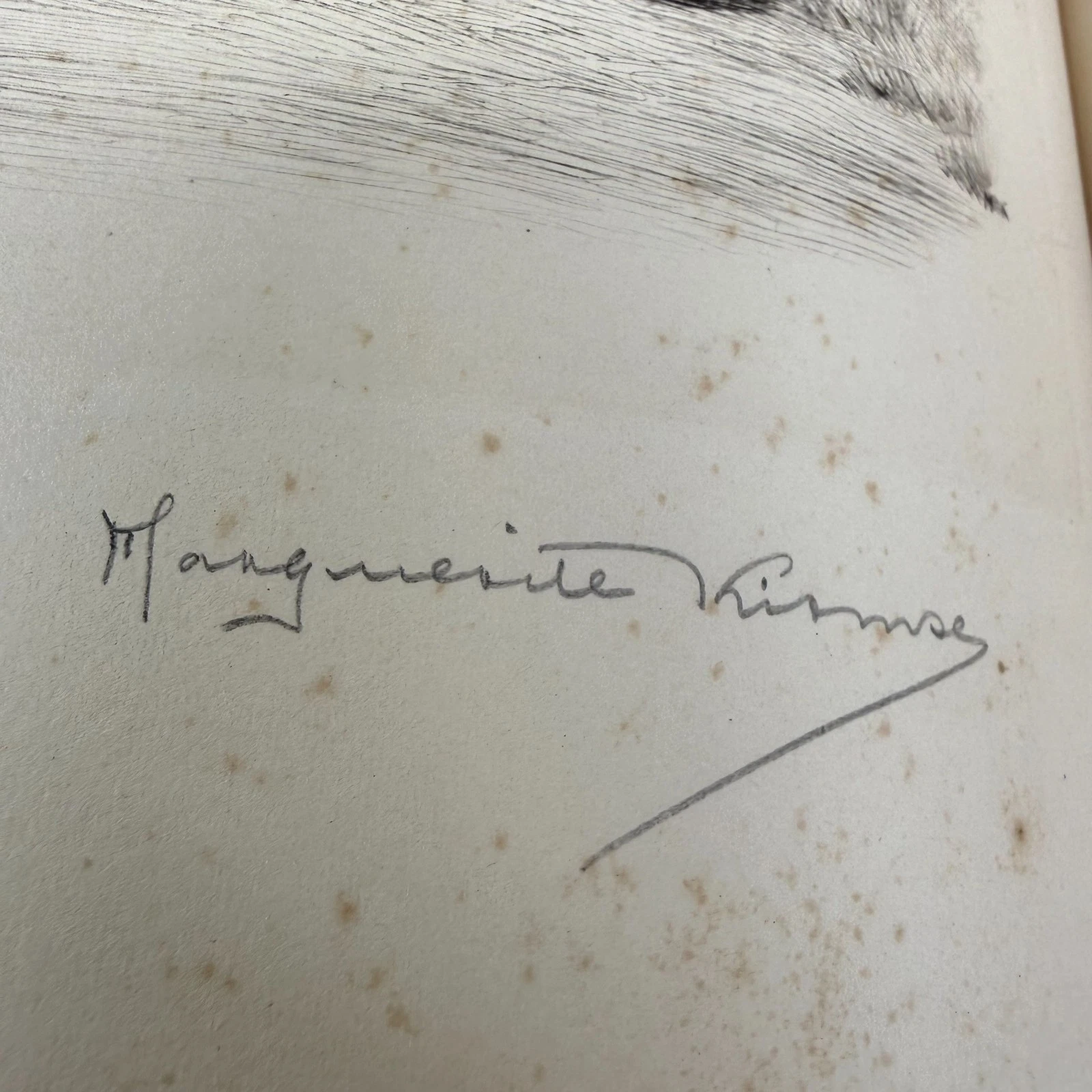 Pencil signature 'Marguerite Kirmse' on a flyleaf, opposite an etched dog portrait