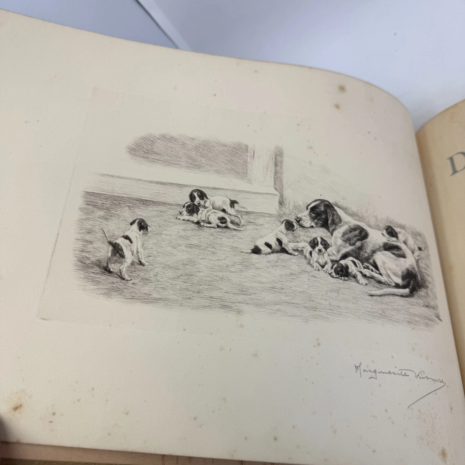 Title page of Dogs in the Field