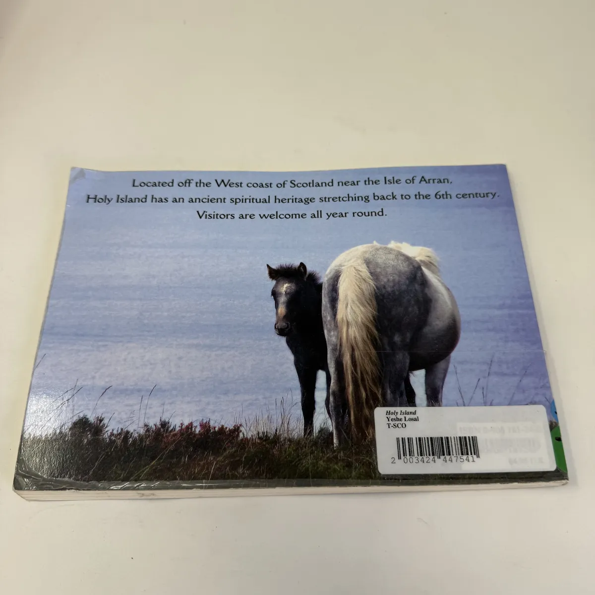 Back cover with photograph of two ponies on the moorland and the text Located off the West coast of Scotland near the Isle of Arran, Holy Island has an ancient spiritual heritage stretching back to the 6th century. Visitors are welcome all year round; with the Upaya Library cataloging label Holy Island / Yeshe Losal / T-SCO and barcode 2003424447541