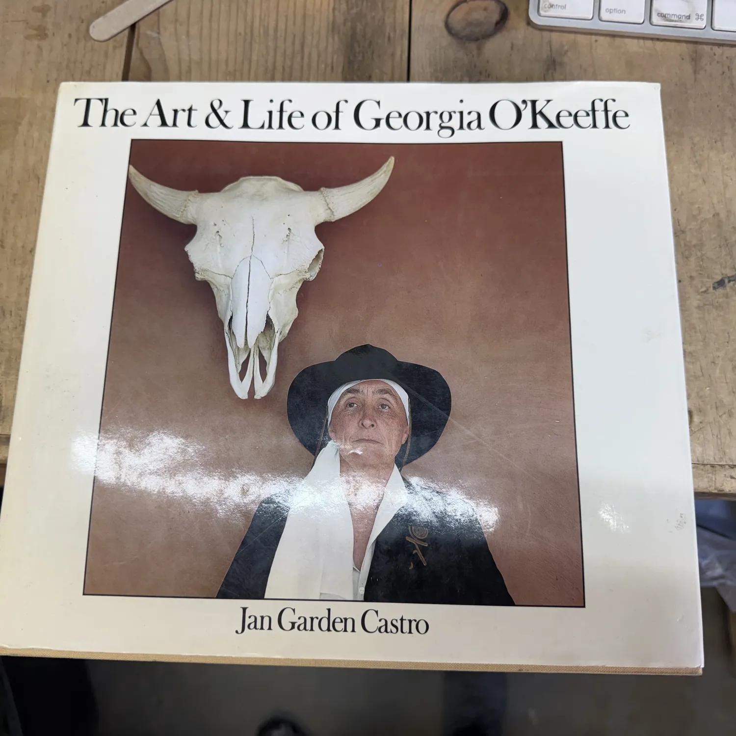First edition cover of The Art and Life of Georgia O'Keeffe by Jan Garden Castro, Crown Publishers 1985 — dust jacket front showing O'Keeffe flower painting, photographed at the New Mexico Literacy Project sorting workspace in Albuquerque