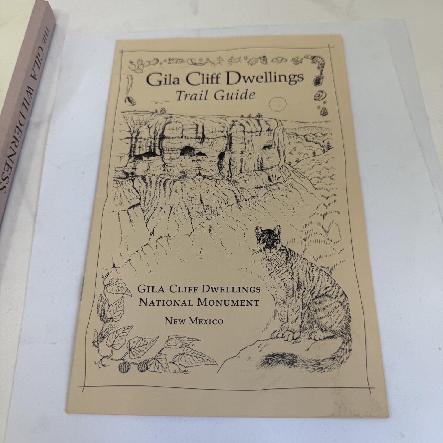 Front cover of Gila Cliff Dwellings Trail Guide — National Park Service pamphlet for Gila Cliff Dwellings National Monument New Mexico, cream paper with pen-and-ink naturalist illustrations of cliff dwellings in canyon wall and mountain lion on rock with prickly pear cactus.