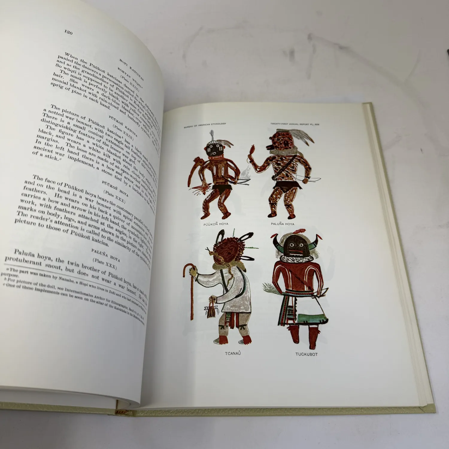 Color plate from Hopi Katcinas by Fewkes showing four kachina figures drawn by Native Hopi artists — Pūūkoñ Hoya with war bonnet and bow, Paluña Hoya his twin brother, Tcanaū with staff and white robe, and Tuckubot with horned mask in red and brown ceremonial dress. Bureau of American Ethnology Twenty-First Annual Report Plate XXX, public domain 1903