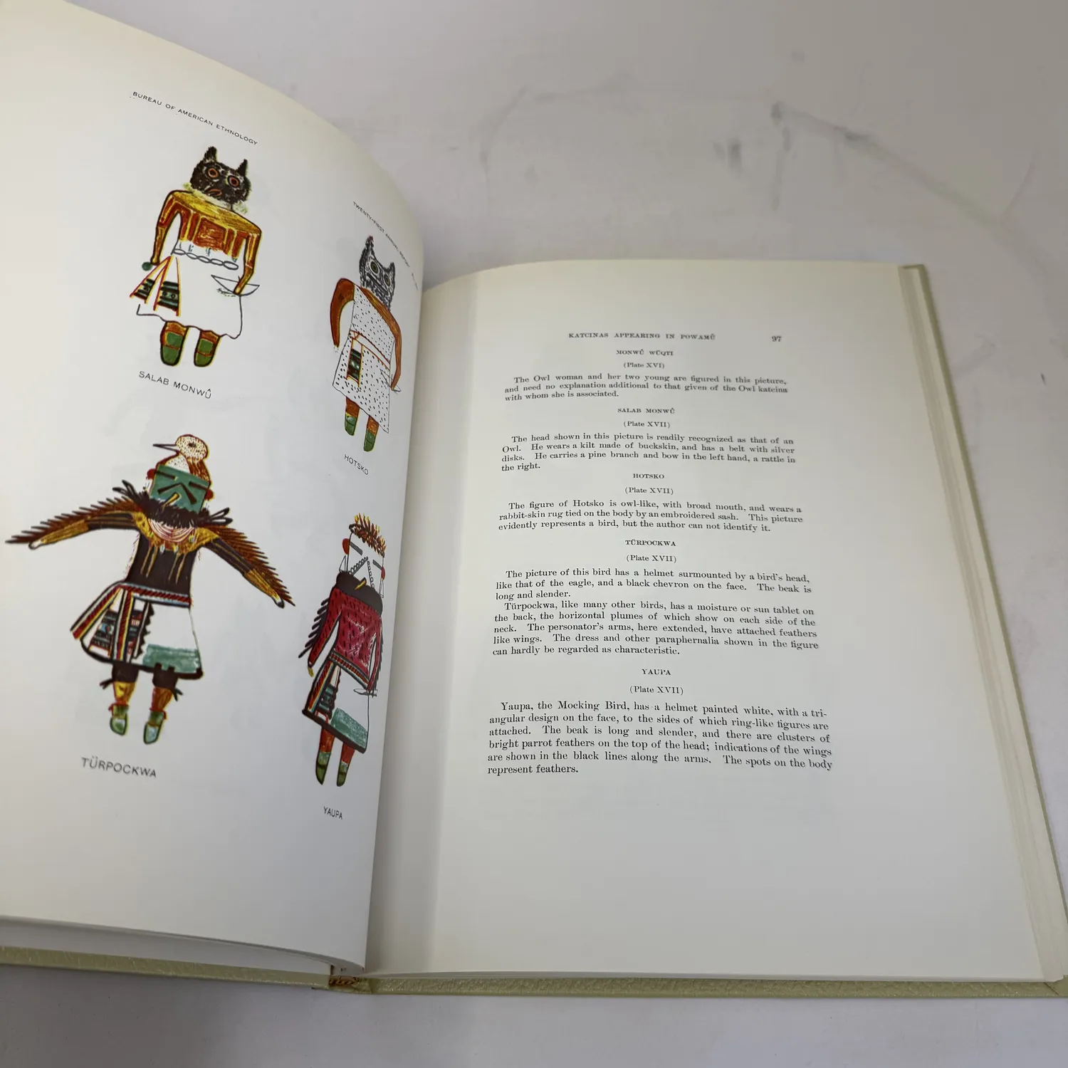 Color plate from Hopi Katcinas by Fewkes showing four kachina figures drawn by Native Hopi artists — Salab Monwū the Owl kachina with buckskin kilt, Hotsko the owl-like bird figure, Türpockwa with eagle-head helmet and extended feathered arms, and Yaupa the Mocking Bird with white helmet and parrot feathers. Katcinas Appearing in Powamū chapter page 97, Bureau of American Ethnology, public domain 1903