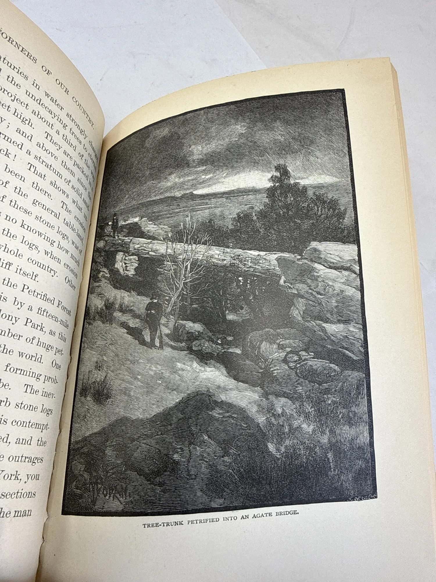 Period wood engraving from 1891 showing Tree-Trunk Petrified Into An Agate Bridge at the Petrified Forest, from Some Strange Corners of Our Country by Charles F. Lummis. Public domain illustration. Photographed at the New Mexico Literacy Project sorting desk in Albuquerque.