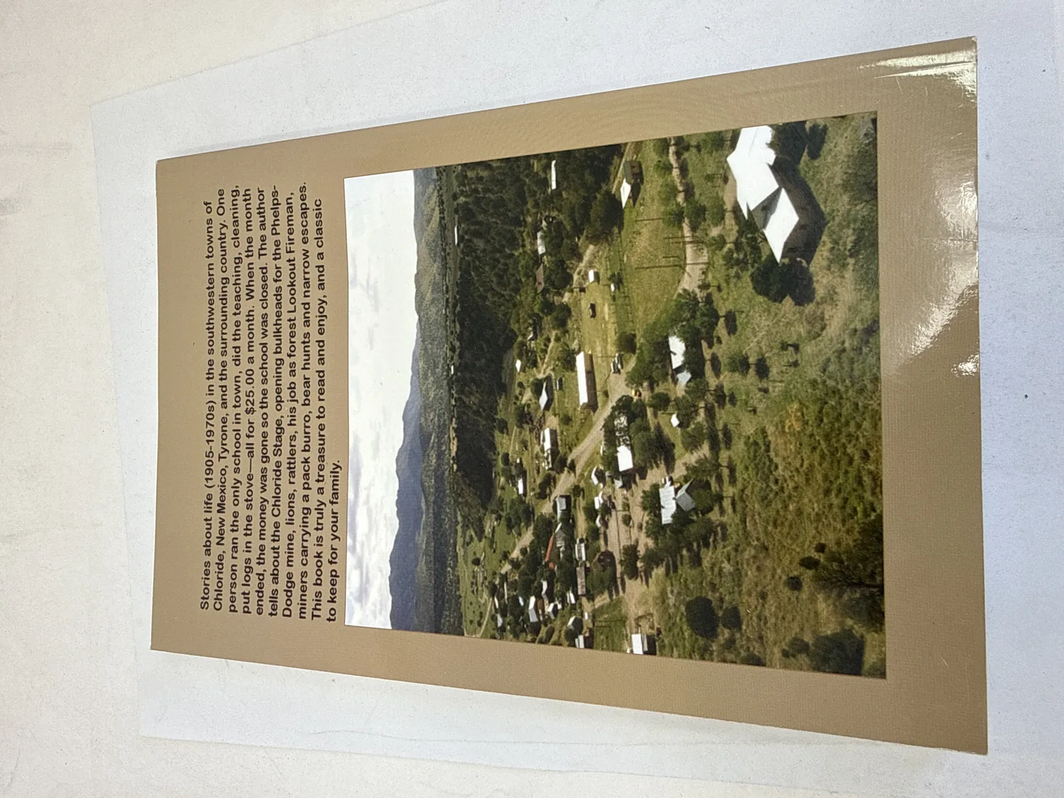 Back cover of New Mexico Recollections — tan and gold with color photograph of green valley settlement, text describing stories about life from 1905 to the 1970s in southwestern New Mexico towns including schoolteaching, mining, Dodge automobiles, pack burro, bear hunts, and narrow escapes. Photographed at the New Mexico Literacy Project sorting desk in Albuquerque.