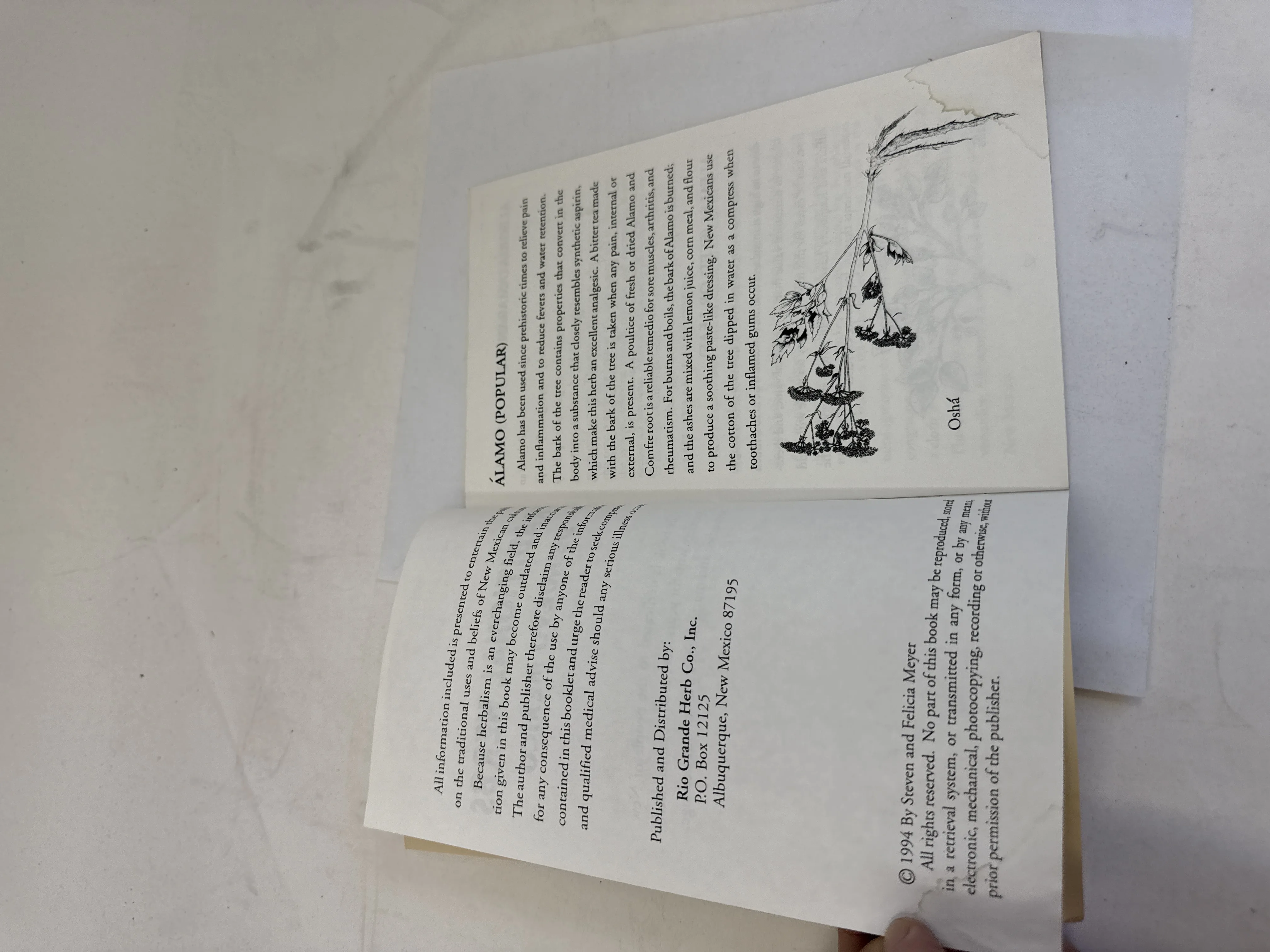 Interior spread of Traditional Herbs de Nuevo Mexico showing the Álamo (Poplar) entry with traditional medicinal uses, botanical illustration of Oshá plant, copyright page with Rio Grande Herb Co. publisher information and 1994 date, medical disclaimer